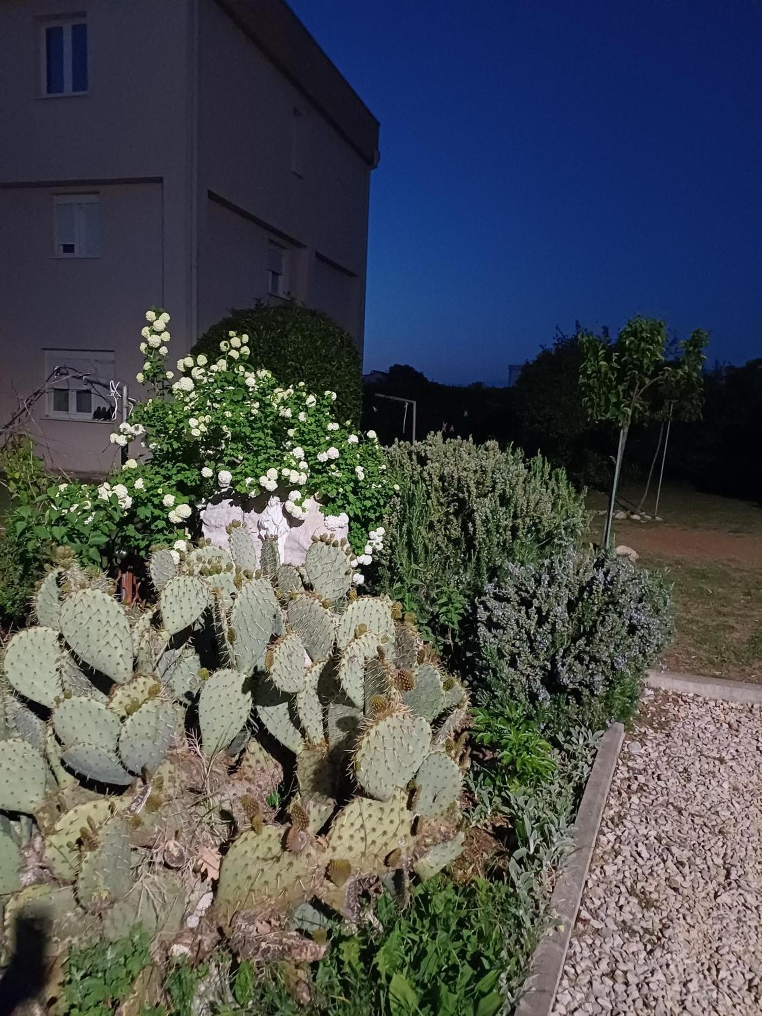 Villa Ana Međugorje المظهر الخارجي الصورة
