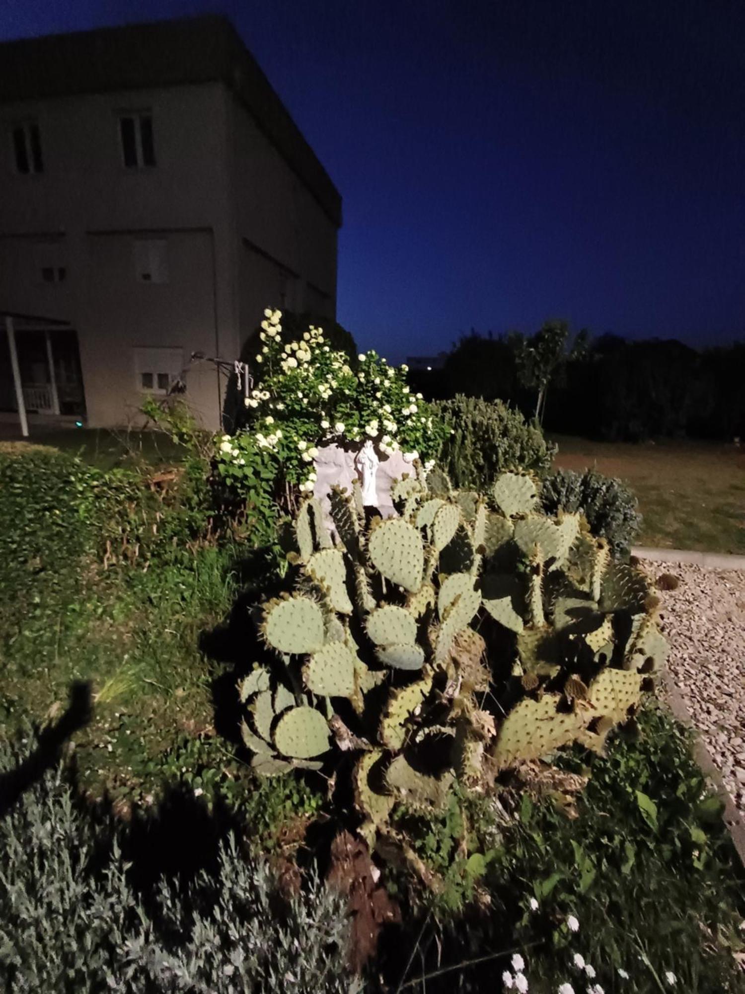 Villa Ana Međugorje المظهر الخارجي الصورة