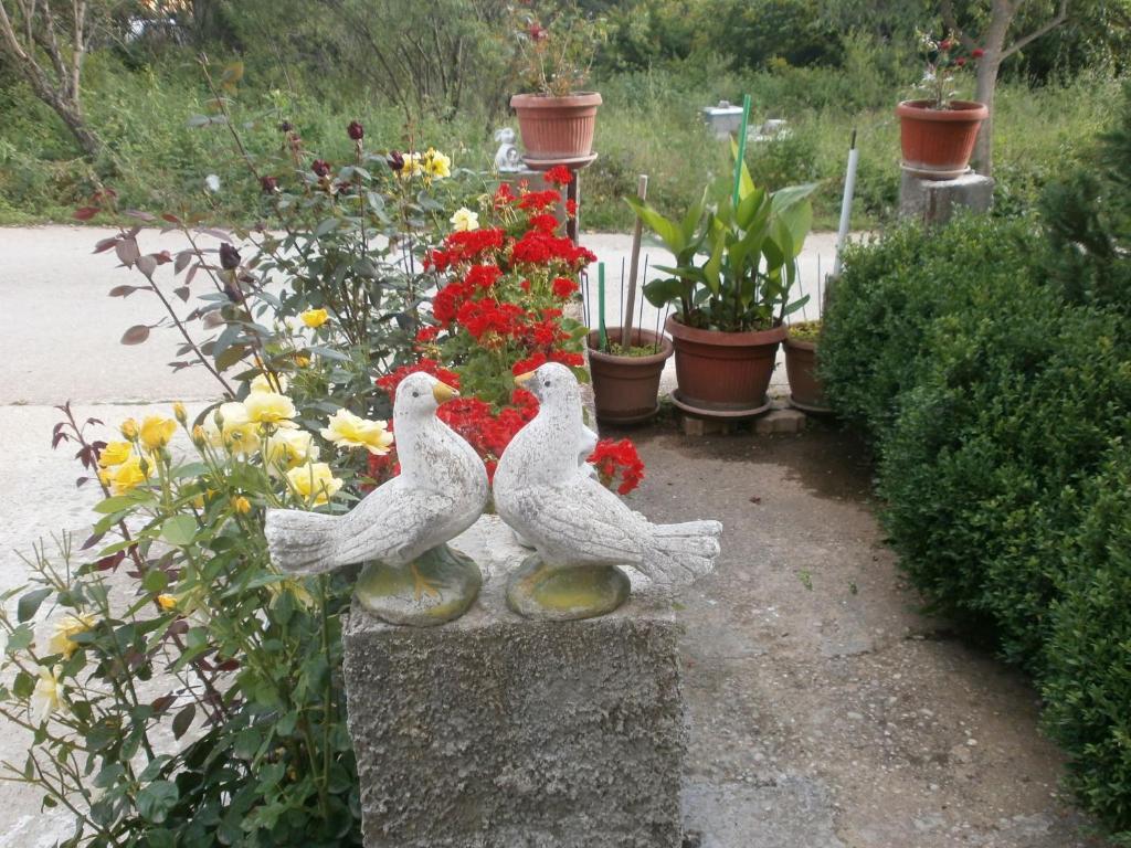 Villa Ana Međugorje المظهر الخارجي الصورة