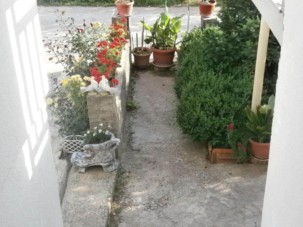 Villa Ana Međugorje المظهر الخارجي الصورة
