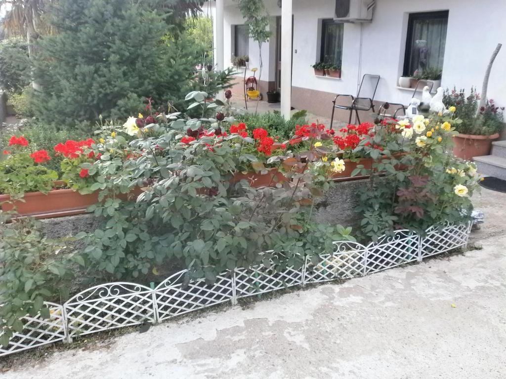 Villa Ana Međugorje المظهر الخارجي الصورة